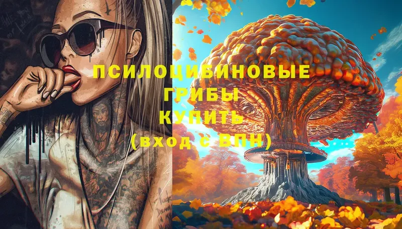 Галлюциногенные грибы MAGIC MUSHROOMS  Пошехонье 